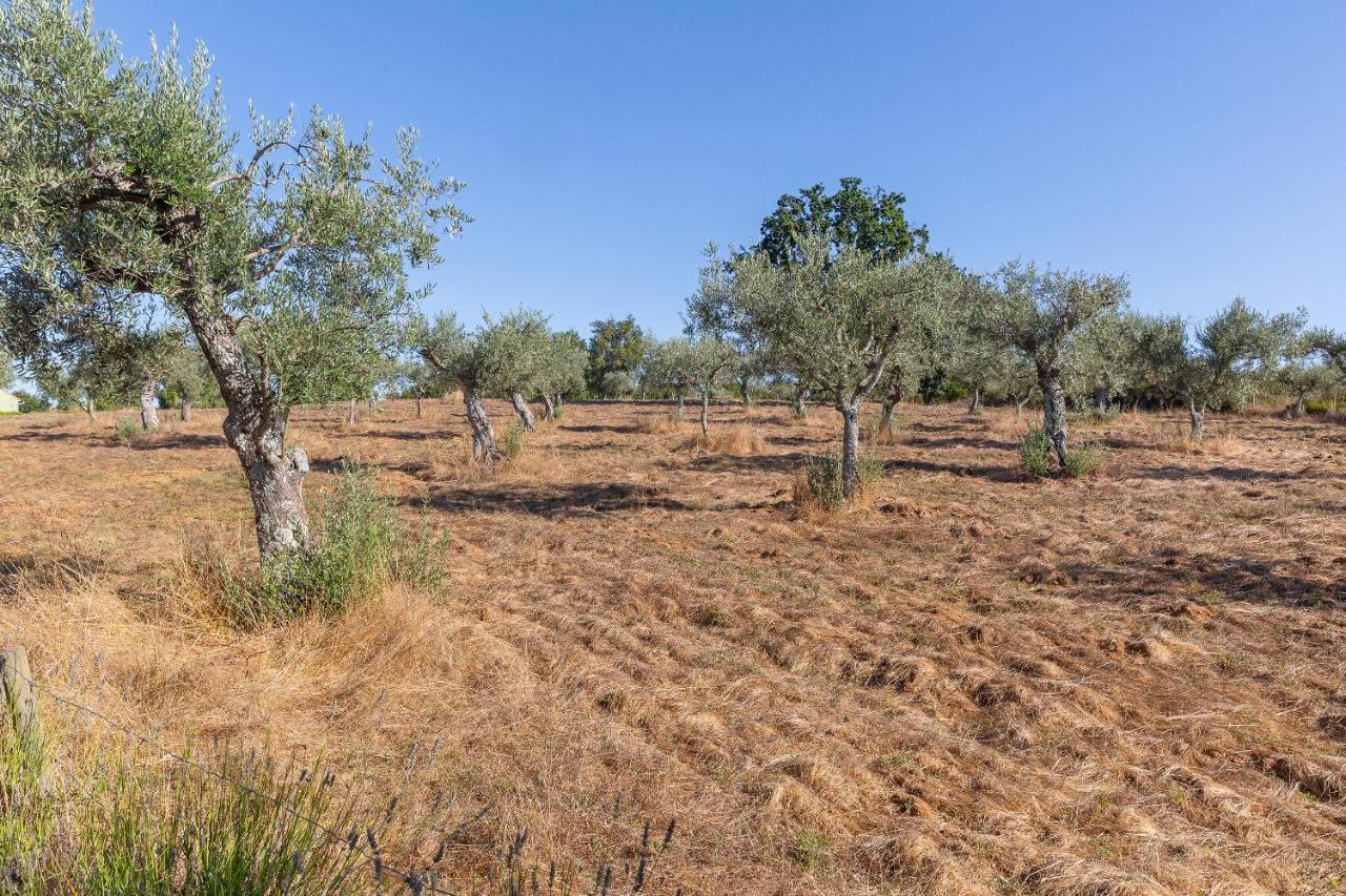 Willa Quinta Do Chao Da Vinha Carragozela Zewnętrze zdjęcie