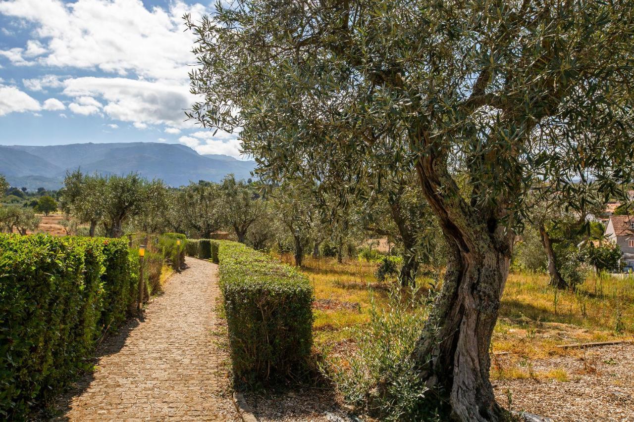 Willa Quinta Do Chao Da Vinha Carragozela Zewnętrze zdjęcie